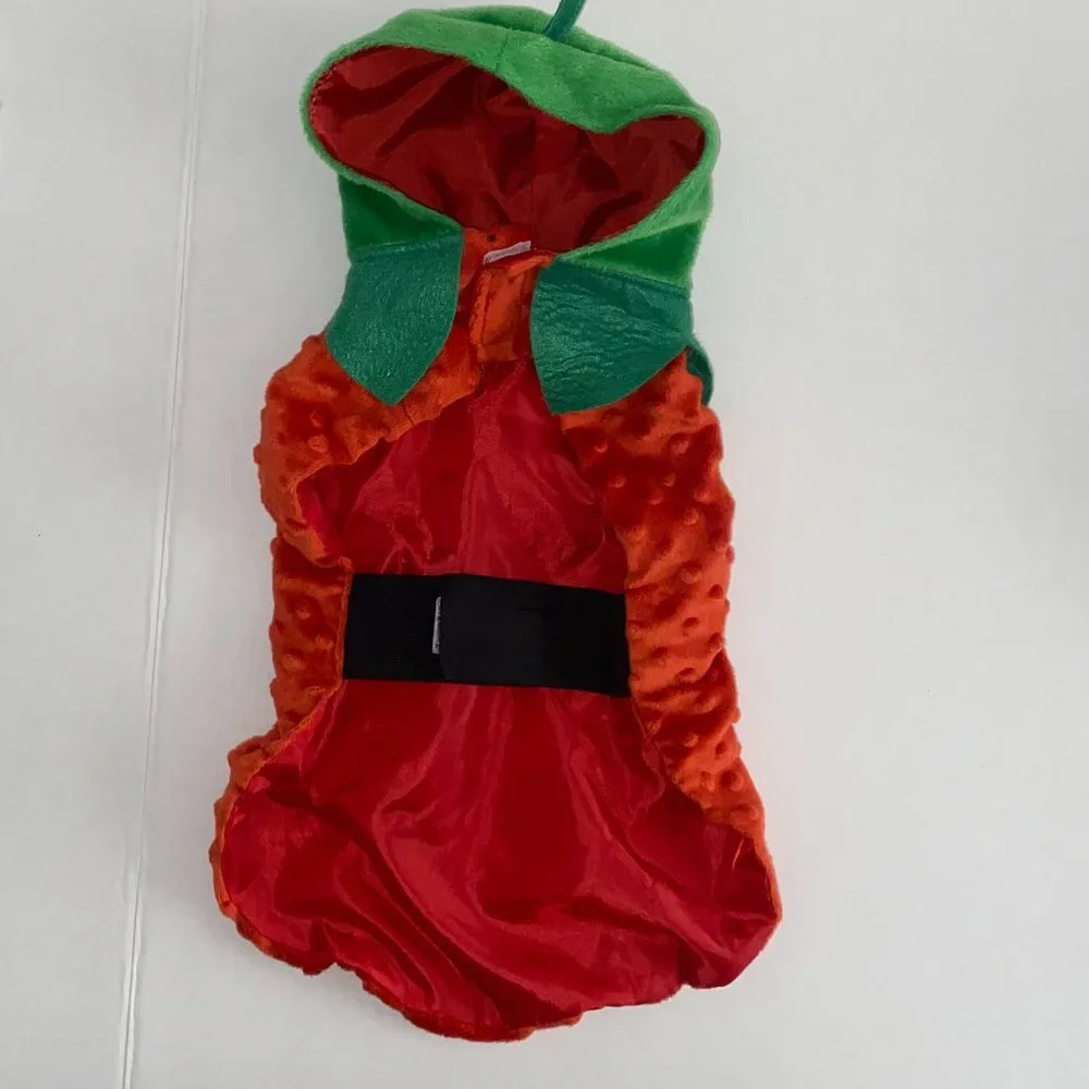 N/A dog costume
